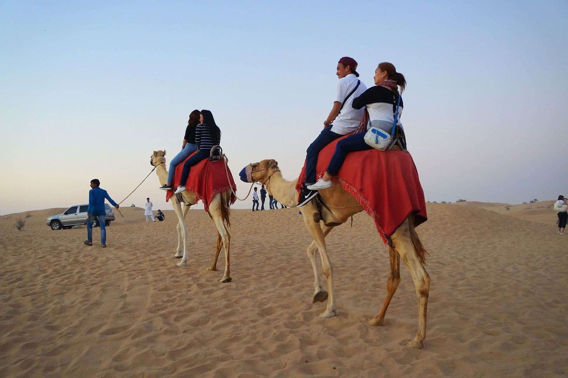 desert safari dubai cammello