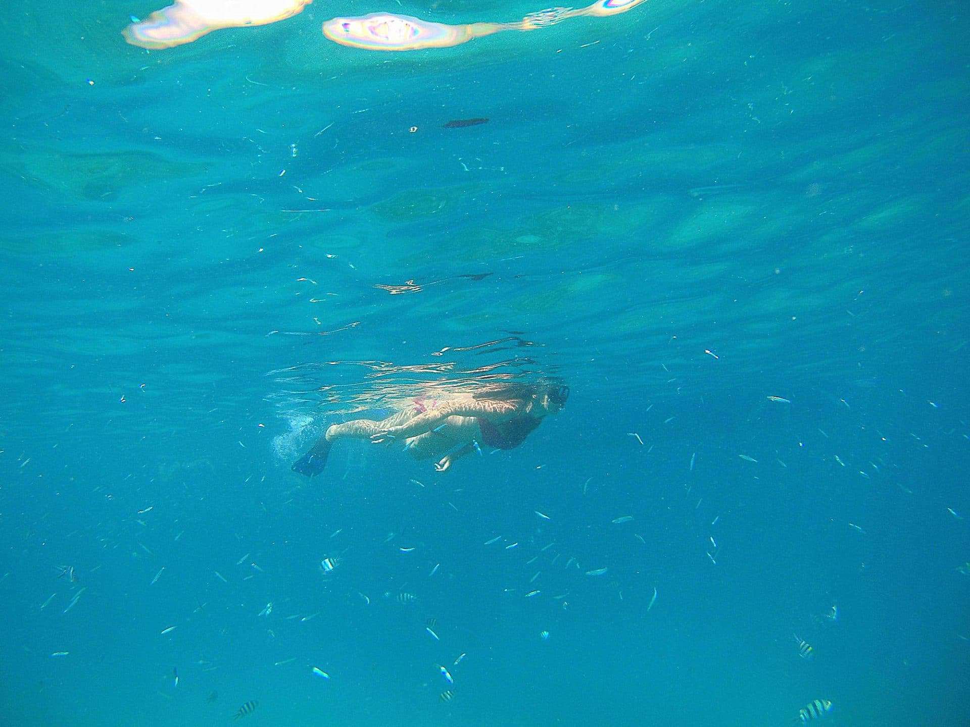 snorkeling isole gili pesci tropicali