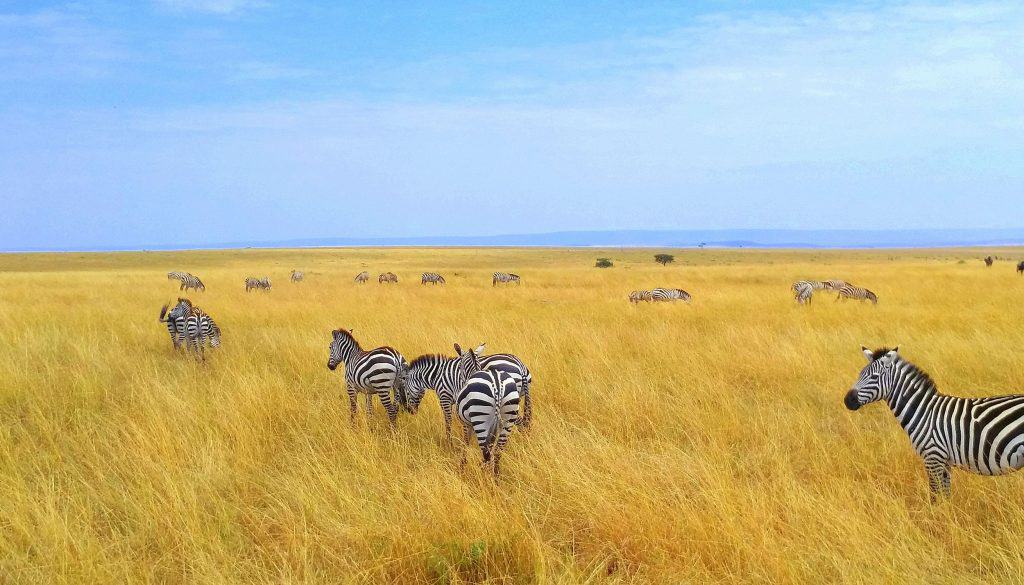 10 cose da sapere sul Kenya prima di partire