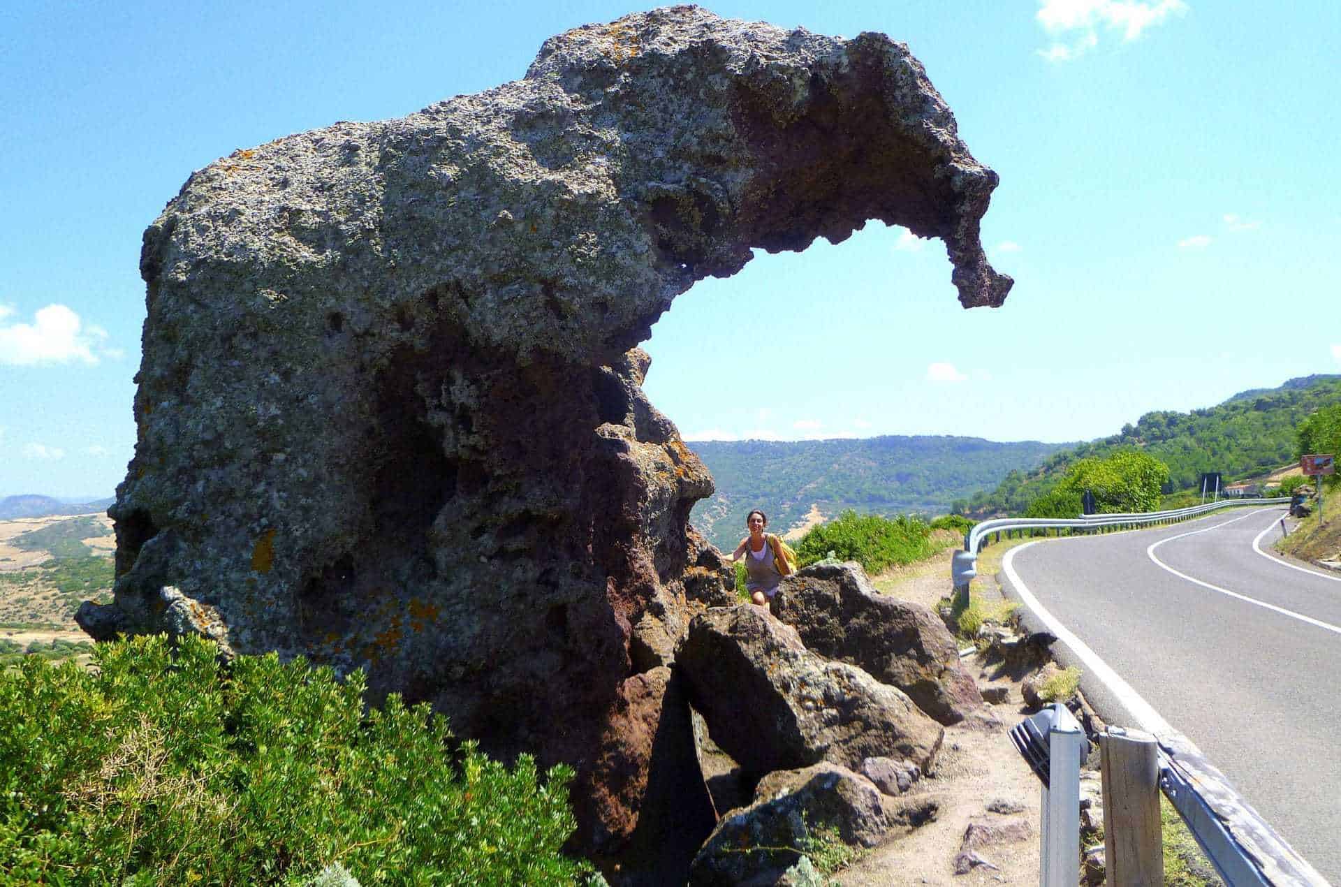 roccia elefante castelsardo sardegna