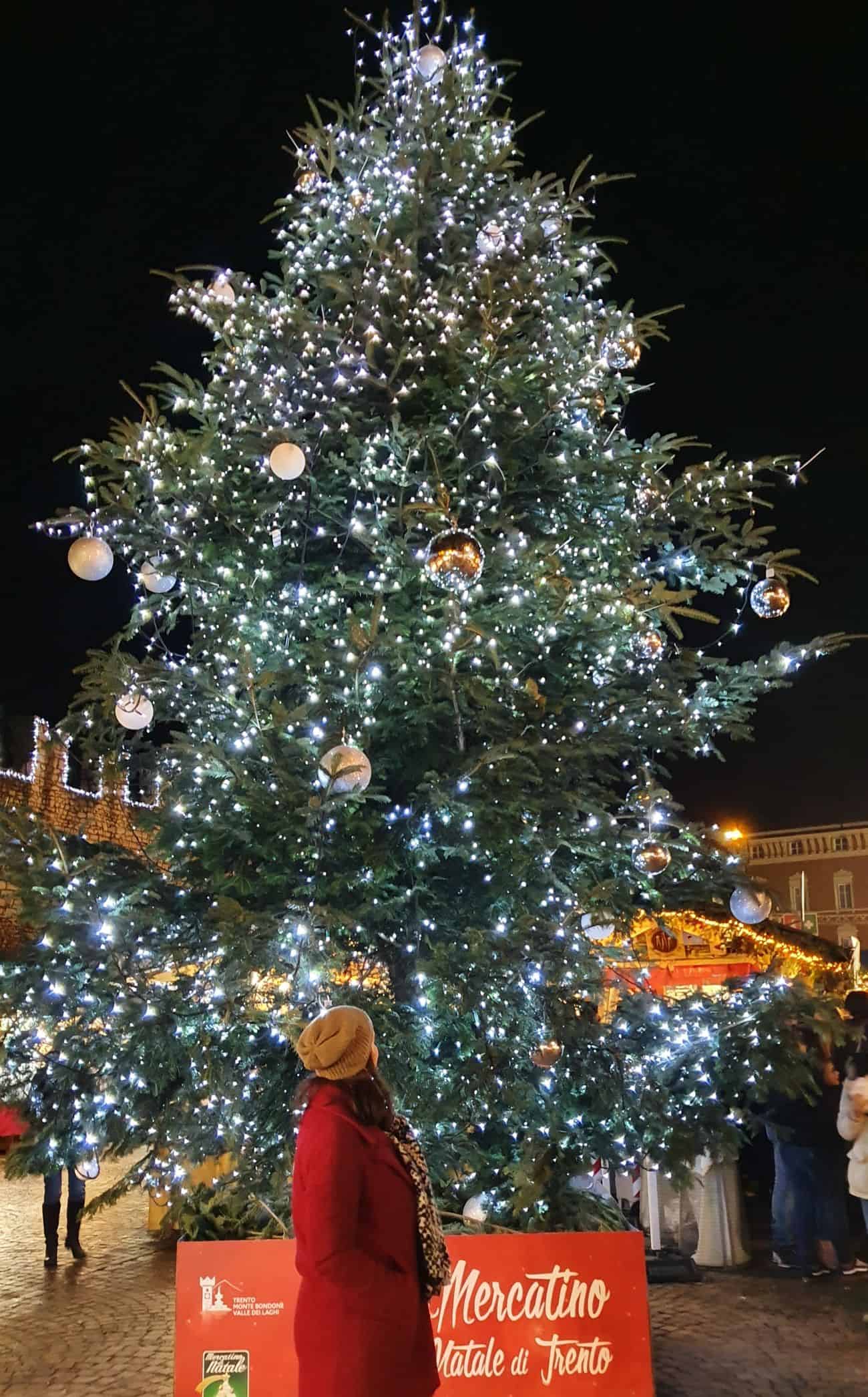 Mercatini di Natale in Piazza Cesare Battisti