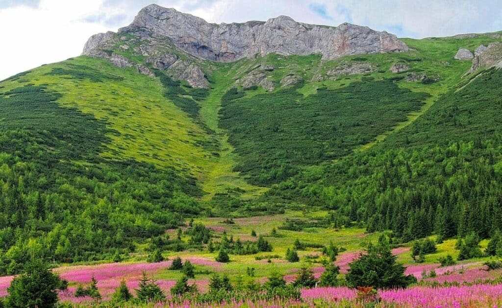 Dove andare in primavera in Europa: Monti Tatra