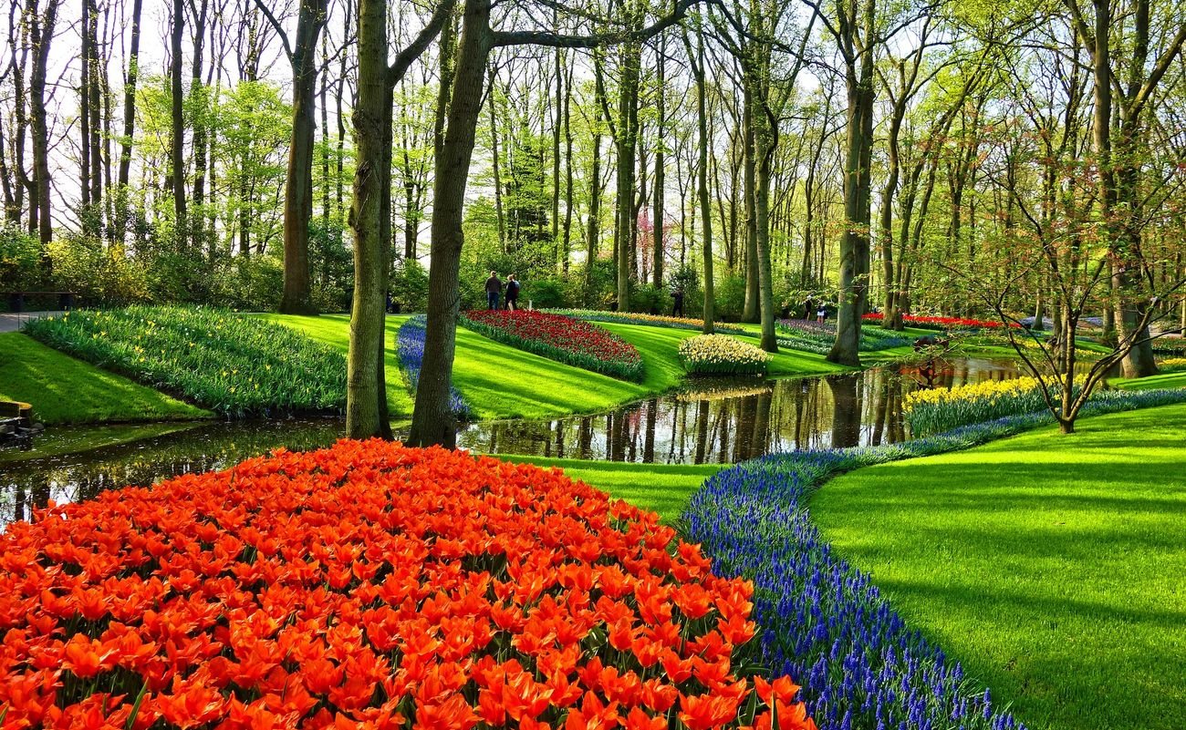 Dove andare in primavera in Europa: Parco Keukenhof
