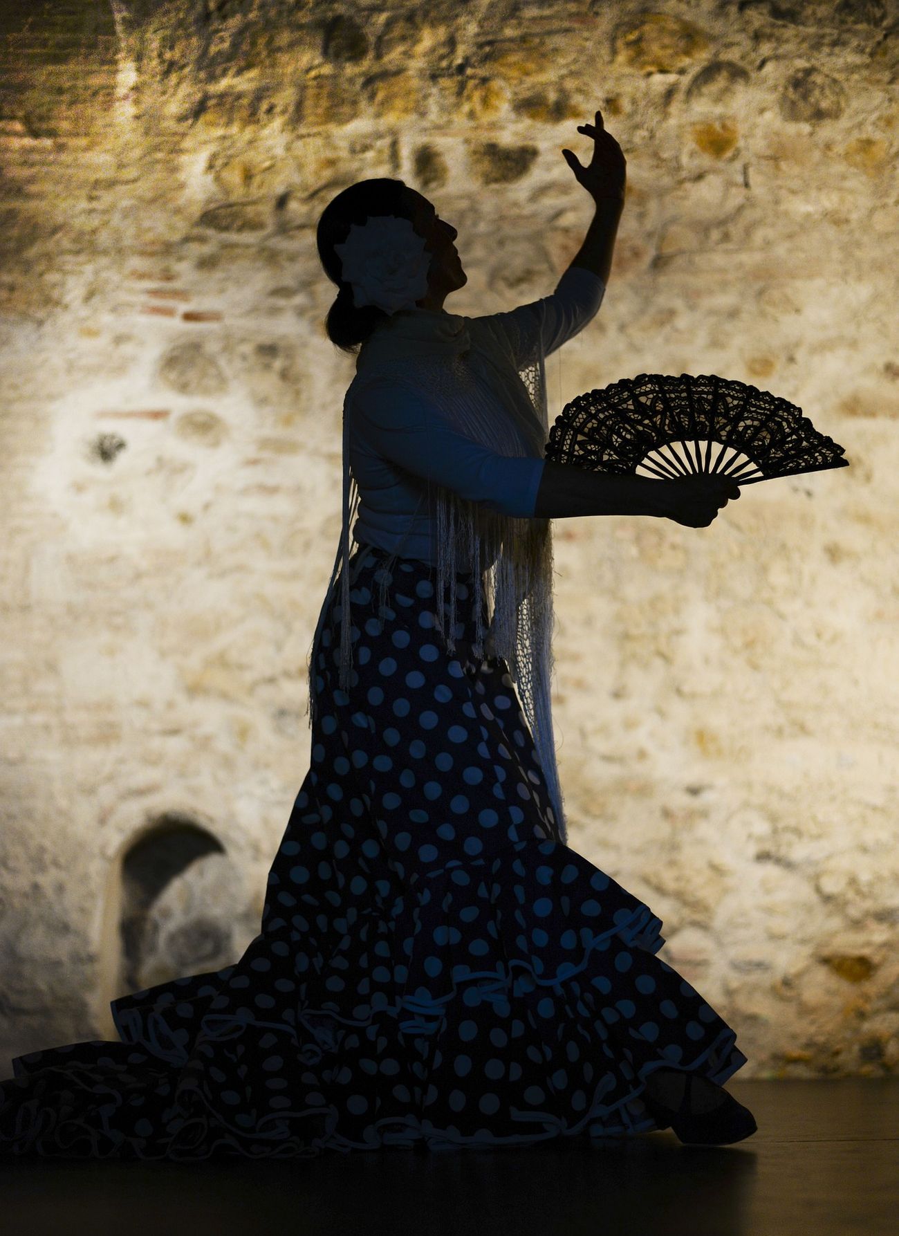 Spettacolo di Flamenco a Madrid