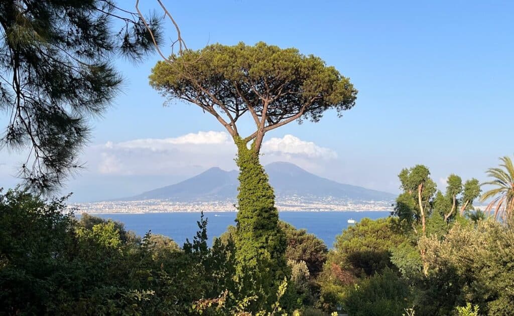 Panorama del Golfo di Napoli e del Vesuvio, Posillipo - Napoli