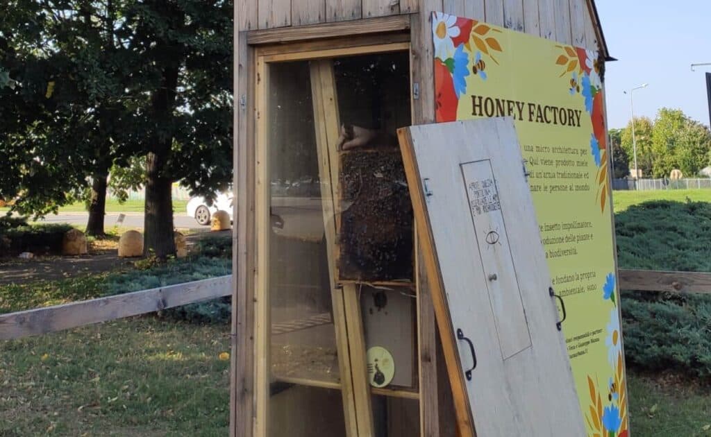 Un'arnia didattica per l'osservazione delle api vicino Milano