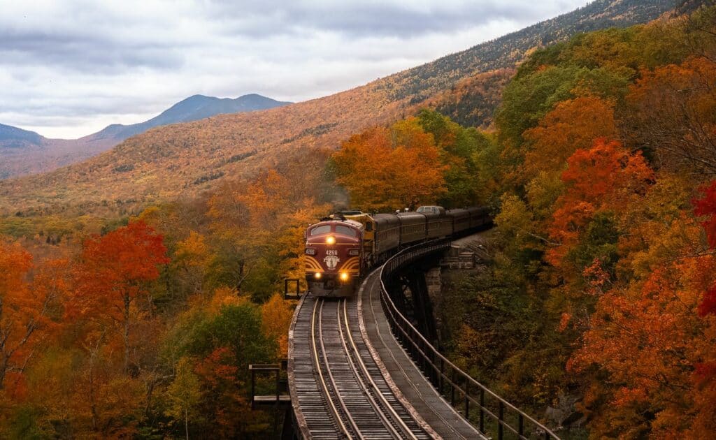Treno panoramico in autunno con i bambini
